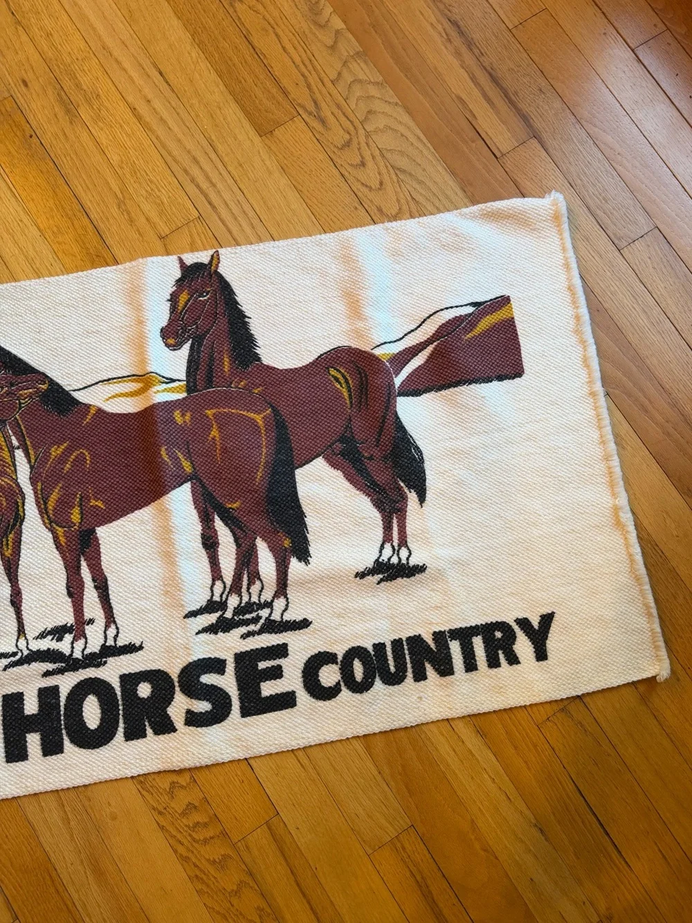 Graphic Horse Country Rug - Three Horses Design